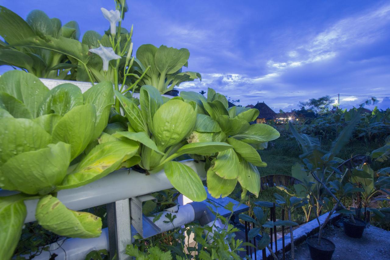 Vinayaka Ubud Dış mekan fotoğraf
