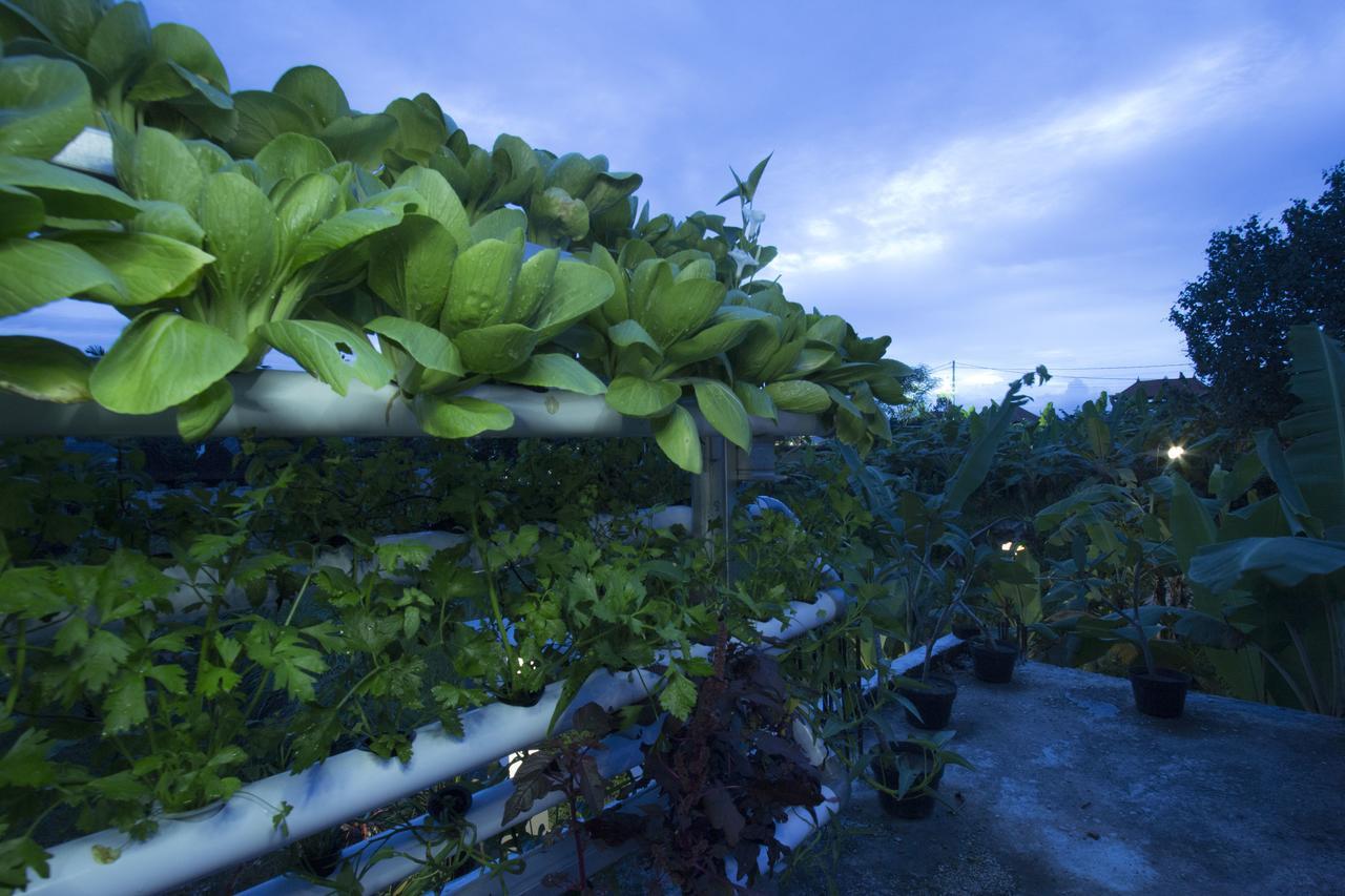 Vinayaka Ubud Dış mekan fotoğraf