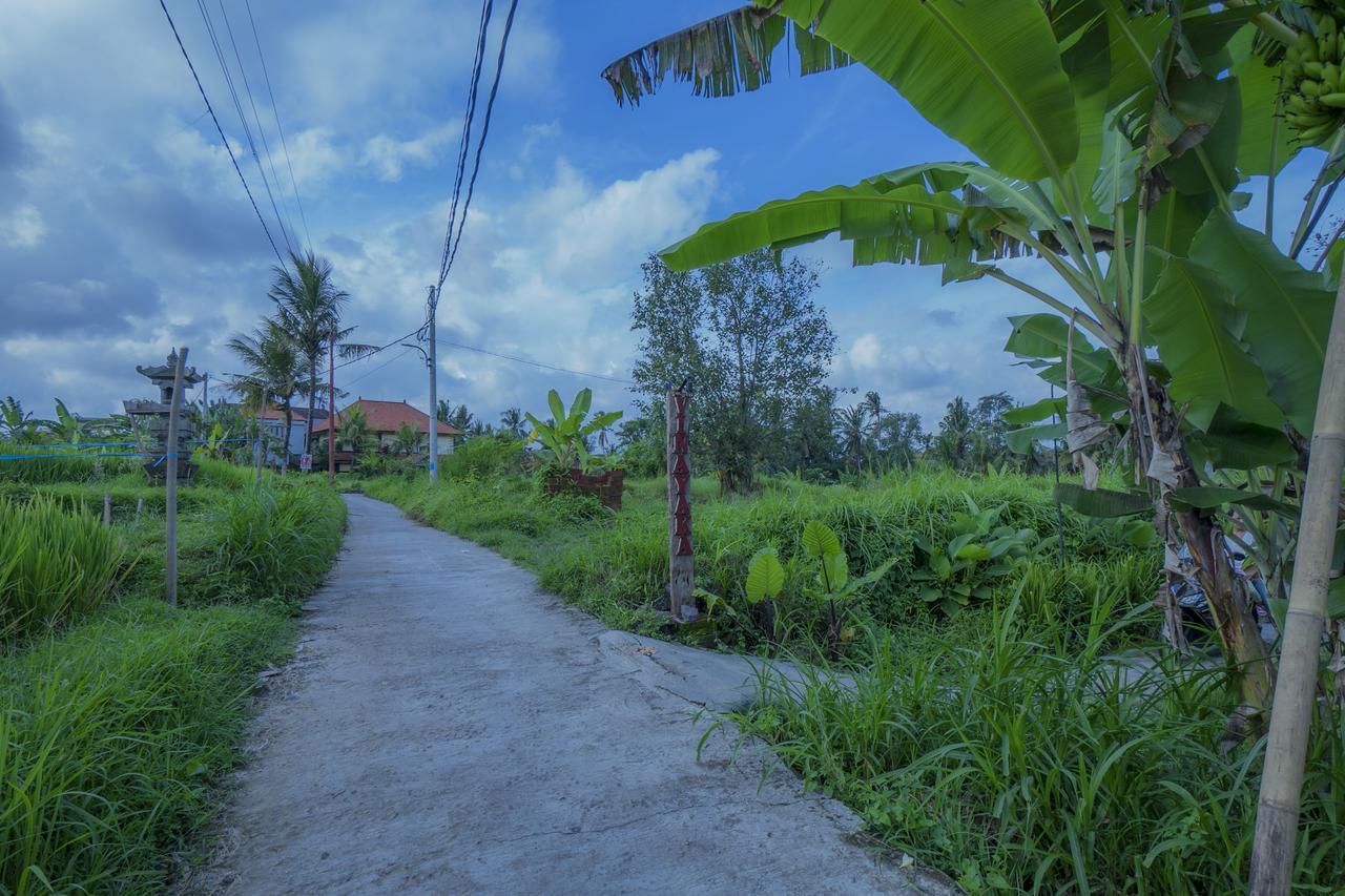 Vinayaka Ubud Dış mekan fotoğraf